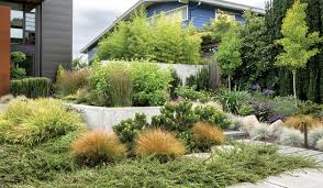 Future-Proofing Outdoor Spaces Through Thoughtful Landscape Design and Construction